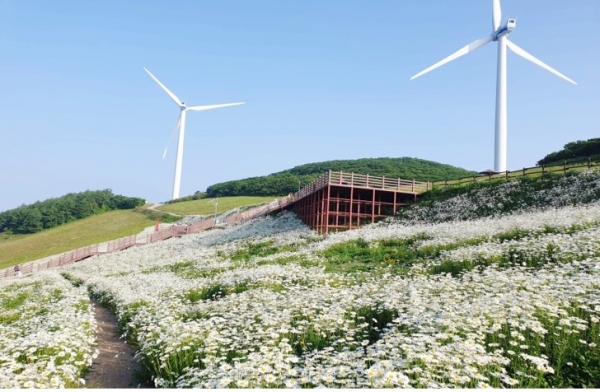 평창 청옥산 풍력발전단지 전경